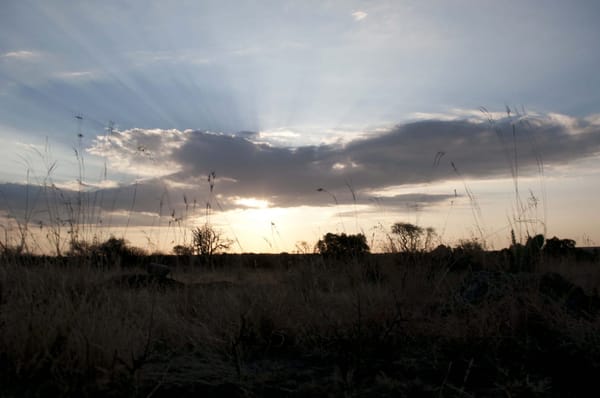 A few must-see places in South Africa: photo 2