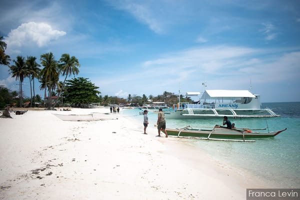 Diving with thresher sharks in Malapascua: photo 3