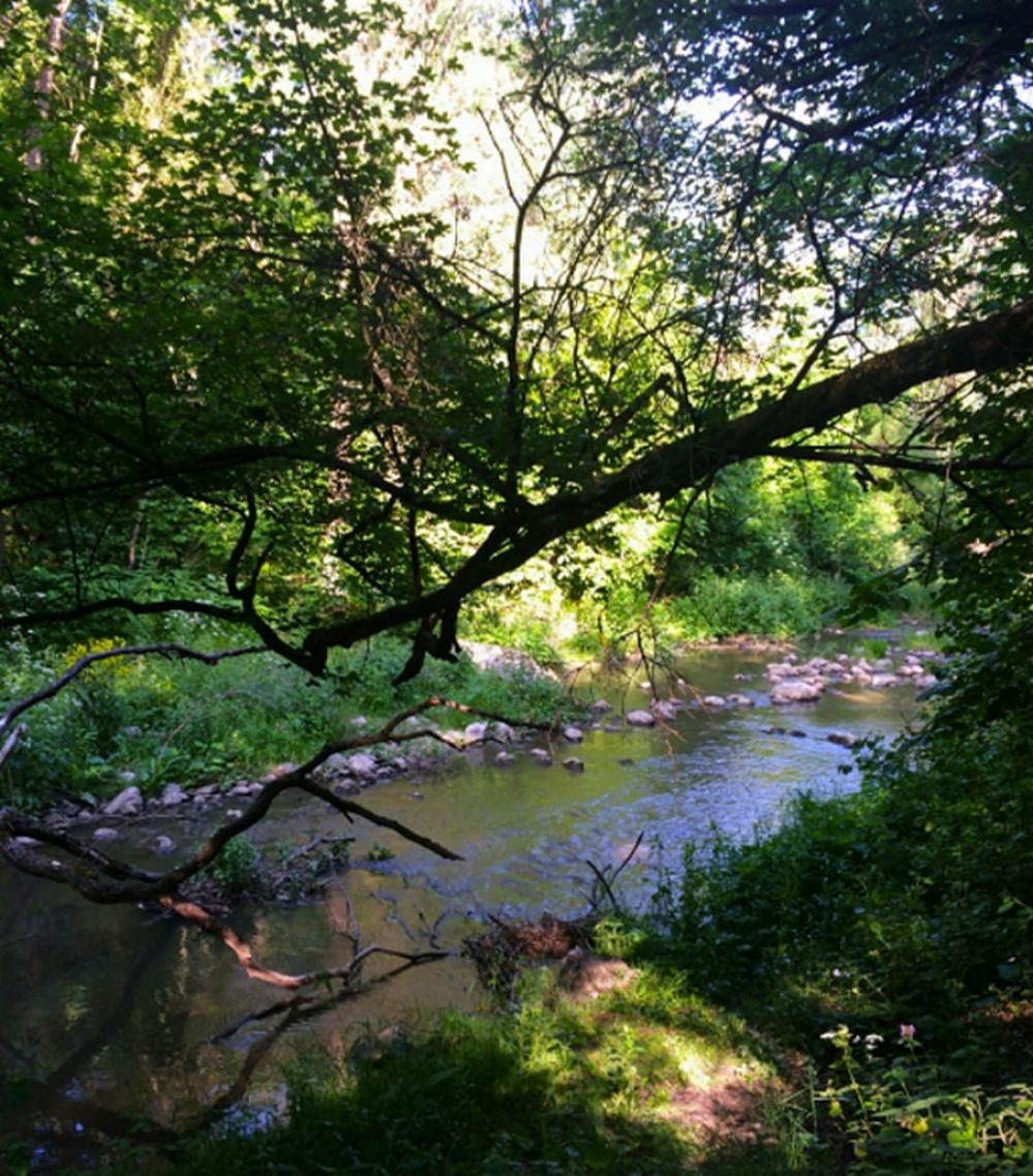 Great locations to visit near Cluj-Napoca, Romania