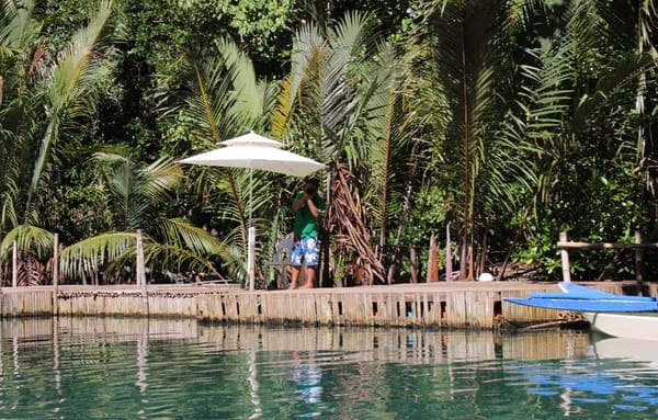 Travel Guide: The Underground River in Puerto Princesa, Palawan, Philippines: photo 5