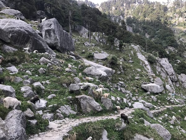 Mcleodganj: Transforming tourists into travellers: photo 5