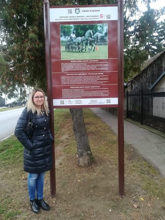 Đakovo, Croatia; town of lipizzans and long tradition: photo 4