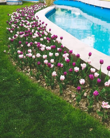 A weekend escape in Pitesti - The city of tulips: photo 10