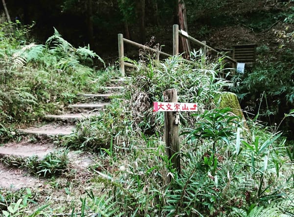 A hike to a magnificent view of Kyoto City: photo 5