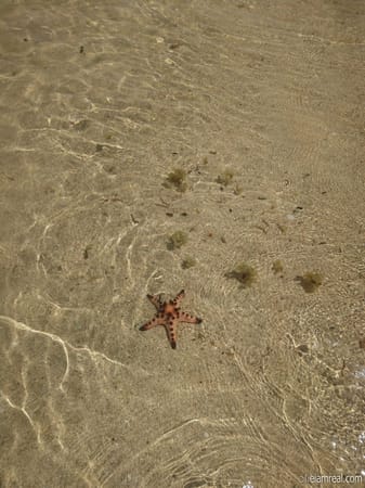 Explore Puerto Princesa in Just Three Days!: photo 13
