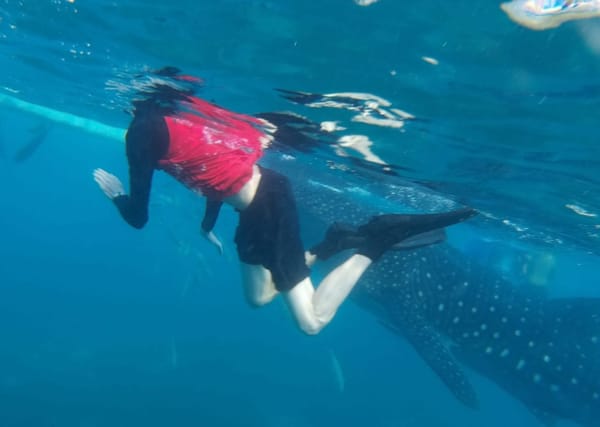 Top 5 Adventures to Do in Oslob: A Backpacker’s Guide: photo 3