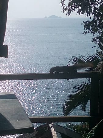 Malaysia’s Best Islands: Perhentian and Pulau Kapas: photo 2