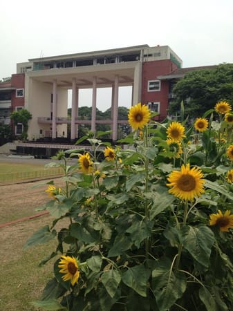 Discovering Quezon City – few minutes drive from Manila: photo 2