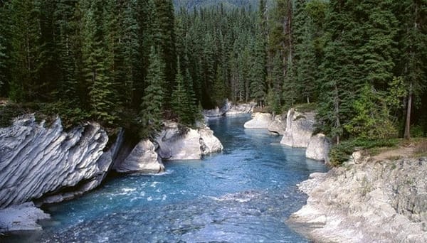Kashmir: Paradise on earth..!!: photo 6