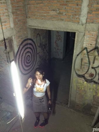 Ghost Tower: The Mystery and Infamy of the Abandoned Skyscraper: photo 10