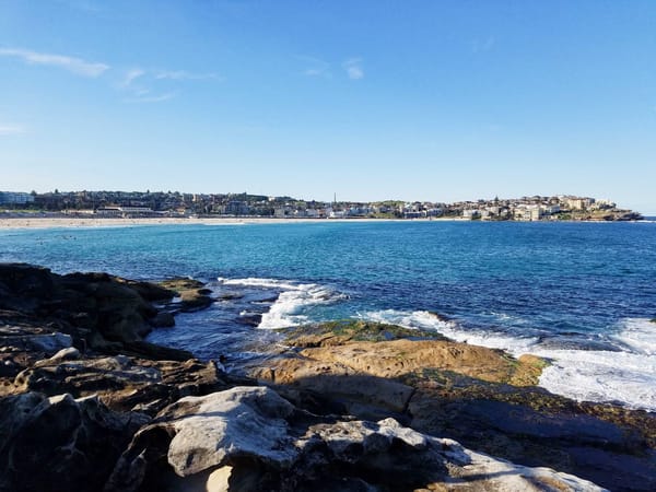 Backpacker’s Travel Guide to Bondi Beach: Bars, Food, and Fun!: photo 3
