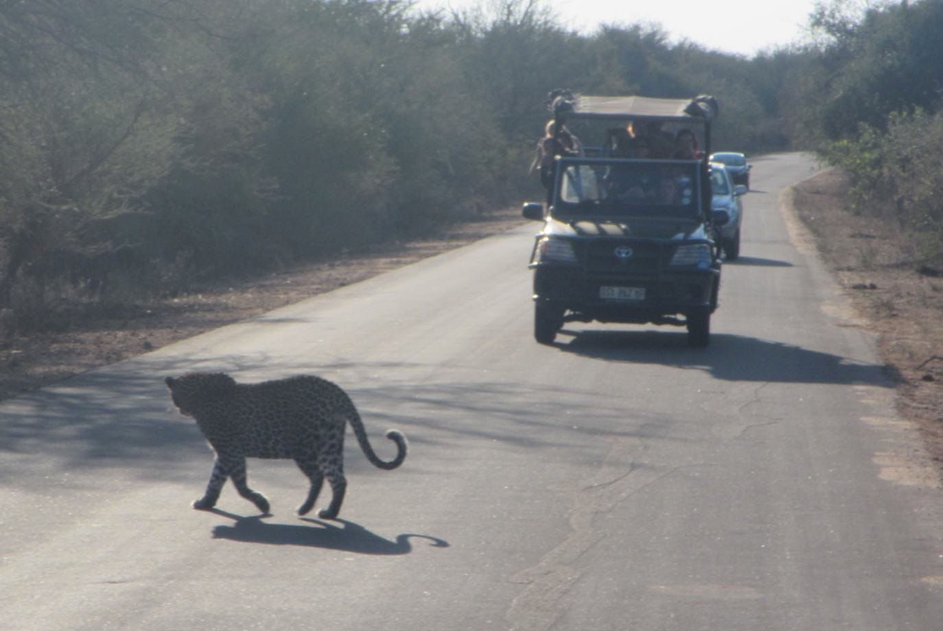 South Africa: Kruger National Park