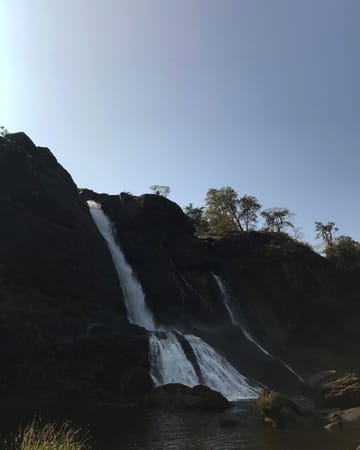Munnar: The hilly paradise of South India: photo 2