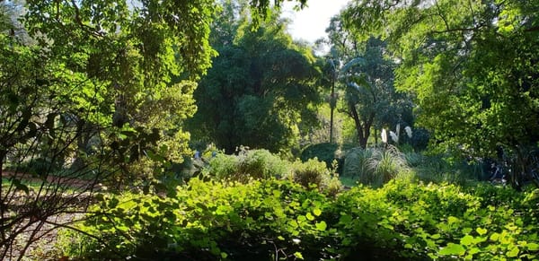 The Best of Buenos Aires: Something for Everyone: photo 4