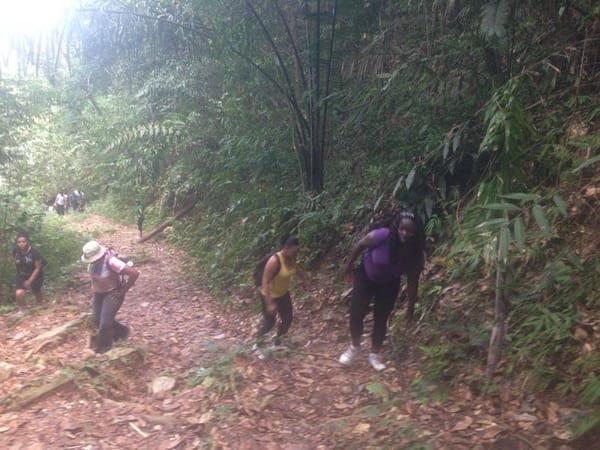 Conquering Paria the Perilous & Turtle Rock: Trinidad and Tobago: photo 25