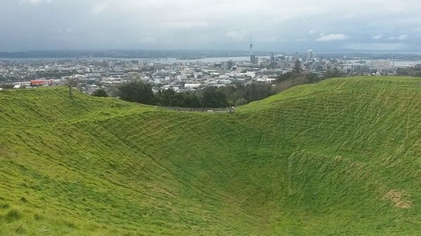 Auckland - beneath the busy city life: photo 6