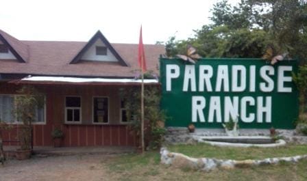 Paradise Ranch: Conservation Park in Clark Pampanga, Philippines: photo 11