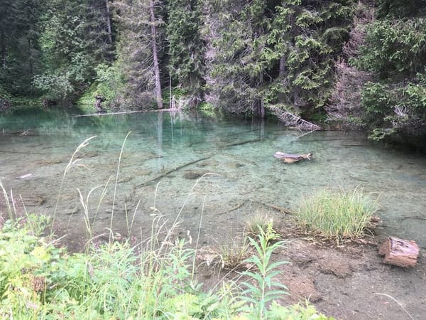 Experiencing the Swiss Alps: photo 8