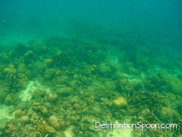 Biliran : Eastern Visayas: photo 11