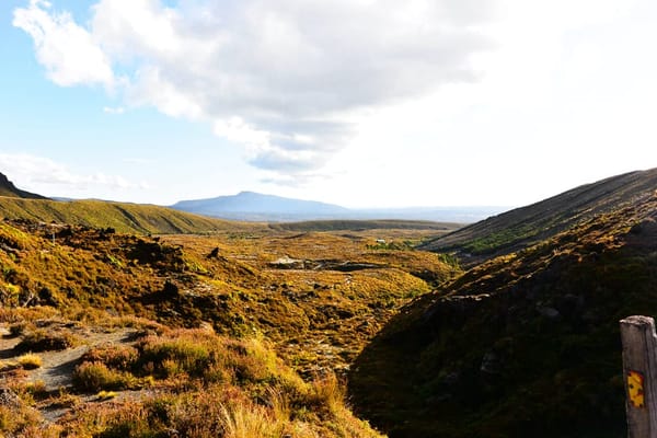 New Zealand - Climbing Mt Ngauruhoe in Tongariro National Park: photo 10