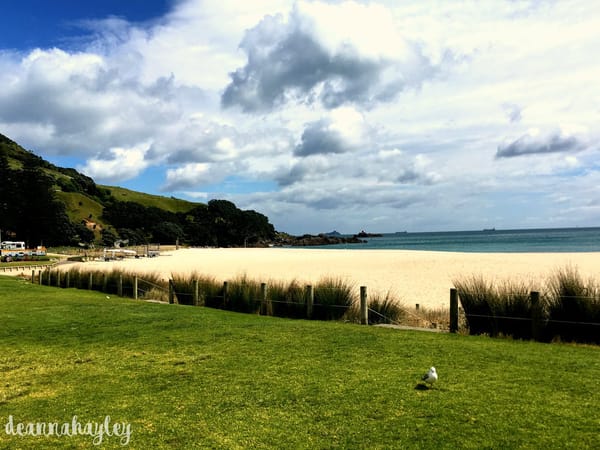 Mount Maunganui, New Zealand; A Humble Paradise: photo 1