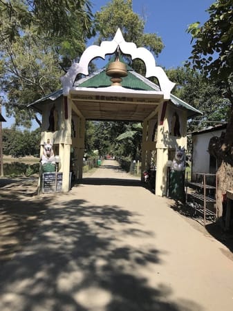 The Ultimate Guide to travel to Majuli, a river island in Assam: photo 5