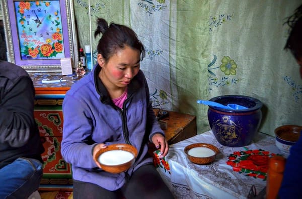 Mongolia: Lost in Gobi Desert: photo 3