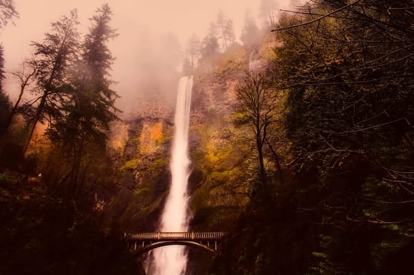 5 Amazing Attractions in Portland, Oregon: photo 1