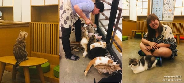 Best Places for Pet-lovers to Chill in Davao City: photo 3