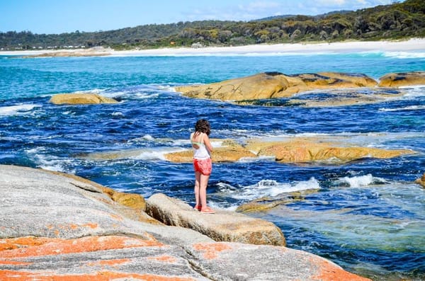 Tasmania: The Apple Isle: photo 8