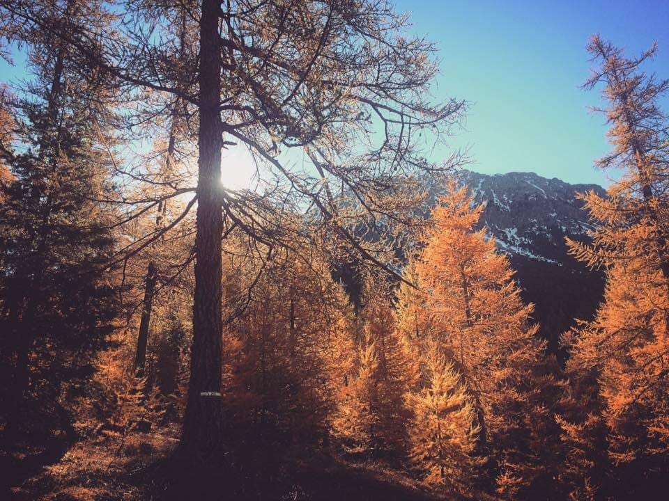 My Top 5 Autumn Alpine Activities