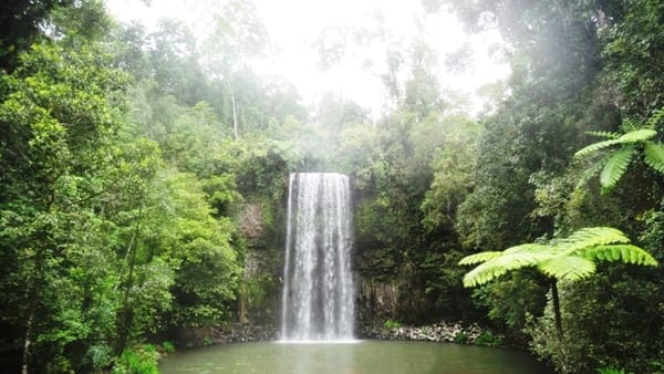 Cairns: top 10 adventure activities for backpackers: photo 1