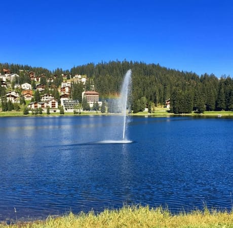 Experiencing the Swiss Alps: photo 4