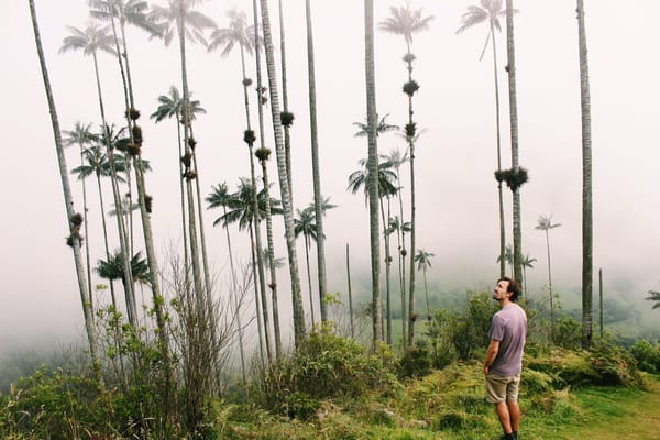 Salento and the Valle de Colombia: Colombia's Coffee Region Gems: photo 7
