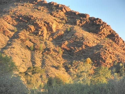 Flinders Ranges: Ancient earth and fascinating wildlife: photo 31