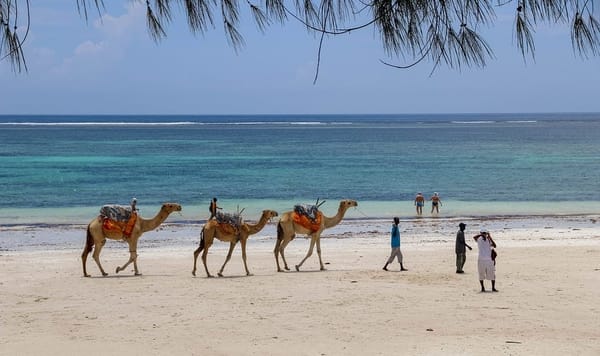 Discover Kenya’s Magical Paradise-The Diani Beach: photo 1