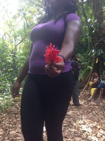Conquering Paria the Perilous & Turtle Rock: Trinidad and Tobago: photo 23