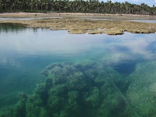 Eastern Samar Adventure: photo 4