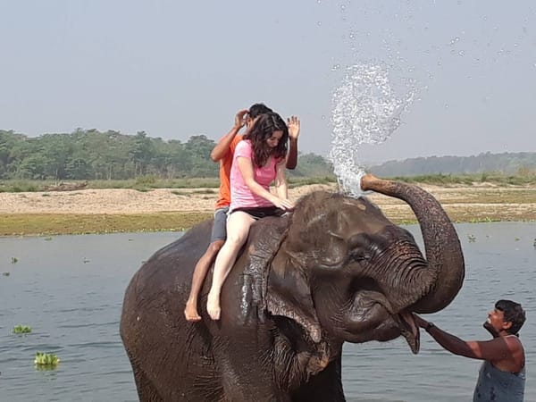 The Elephant Experience in Chitwan: photo 5