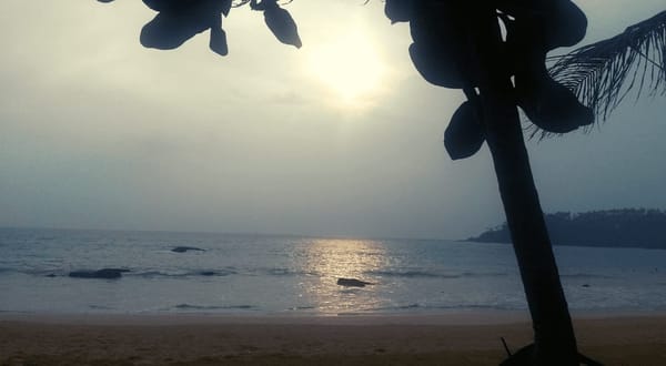 Top Veggie Restaurants in Mirissa, Sri Lanka: photo 1