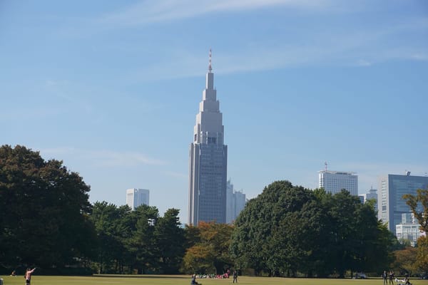 3 Days in Tokyo, Japan: A Travel Blog: photo 11