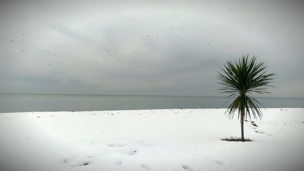 Batumi, here we go : western+eastern=amazing!: photo 6