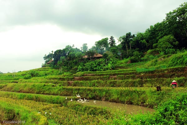 Pu Luong Retreat – A true off-the-beaten-path experience in Vietnam: photo 5