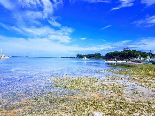 Malapascua –best attractions and restaurants: photo 4