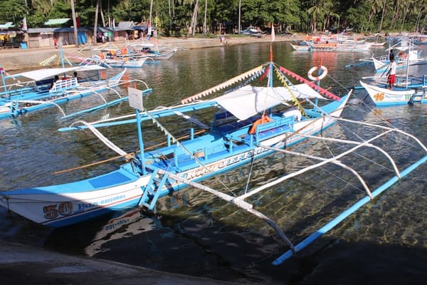 Travel Guide: The Underground River in Puerto Princesa, Palawan, Philippines: photo 7