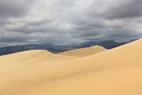 The best landscapes in the Canary Islands: photo 7