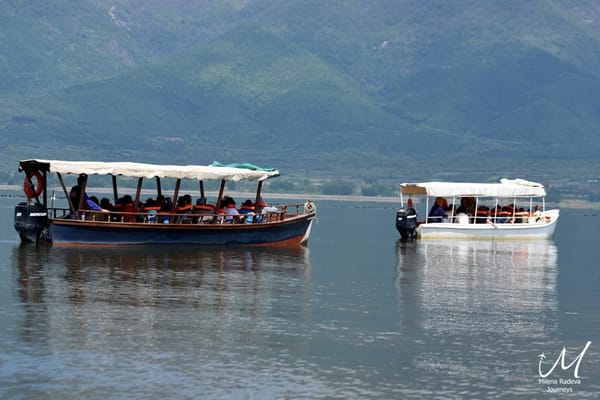 Birdwatching in Greece - Lake Kerkini: photo 4