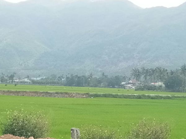 A Cultural-Spiritual Adventure to Nha Trang’s Pagoda’s: photo 15
