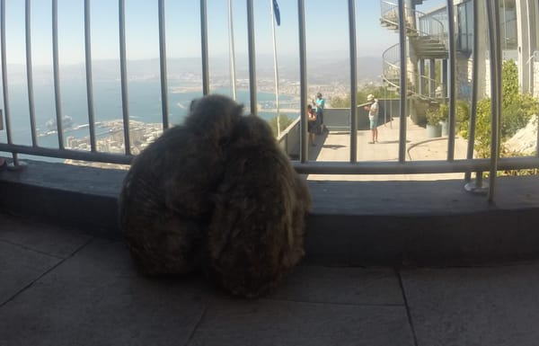 Sailing the Strait of Gibraltar: photo 1