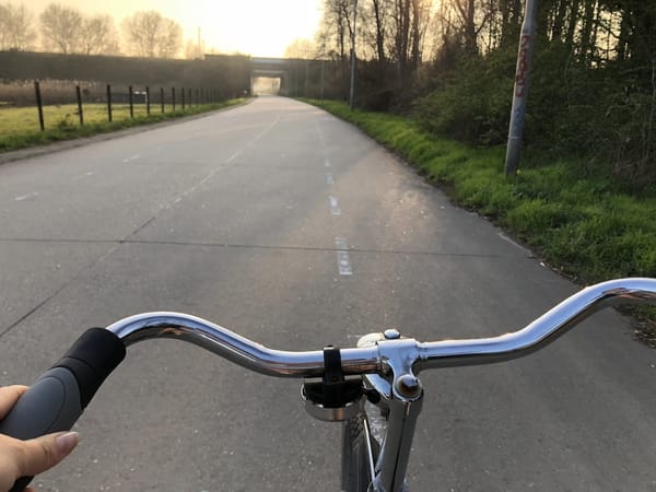 A Local’s Guide to Amsterdam: photo 1
